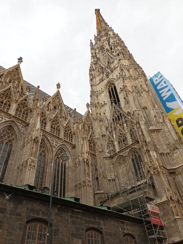 Der Stephansdom in Wien. Am Turm ist ein Gerüst angebracht.