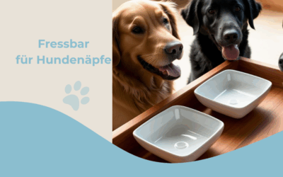 Fressbar für Hundenäpfe