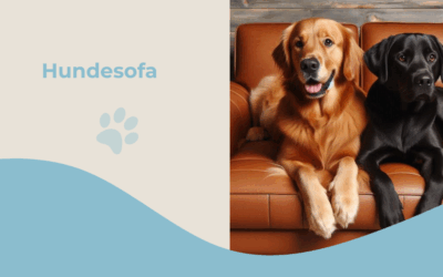 Hundesofa