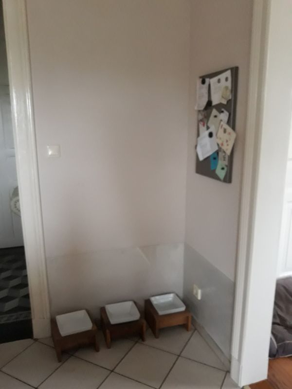 Drei Hundenäpfe nebeneinander vor einer Plexiglas-Schutzwand – die frühere Lösung.