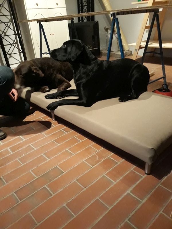 Zwei Labradore liegen auf der fertig gepolsterten Hundesofa-Liegefläche mit montierten Möbelfüßen.