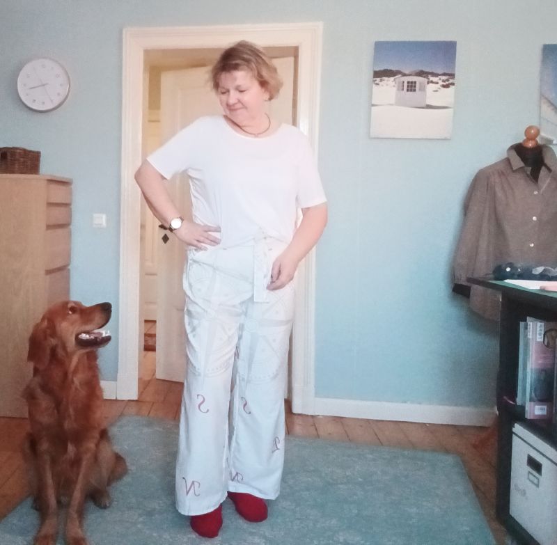Tragebild; Hund und Mensch schauen sich an.