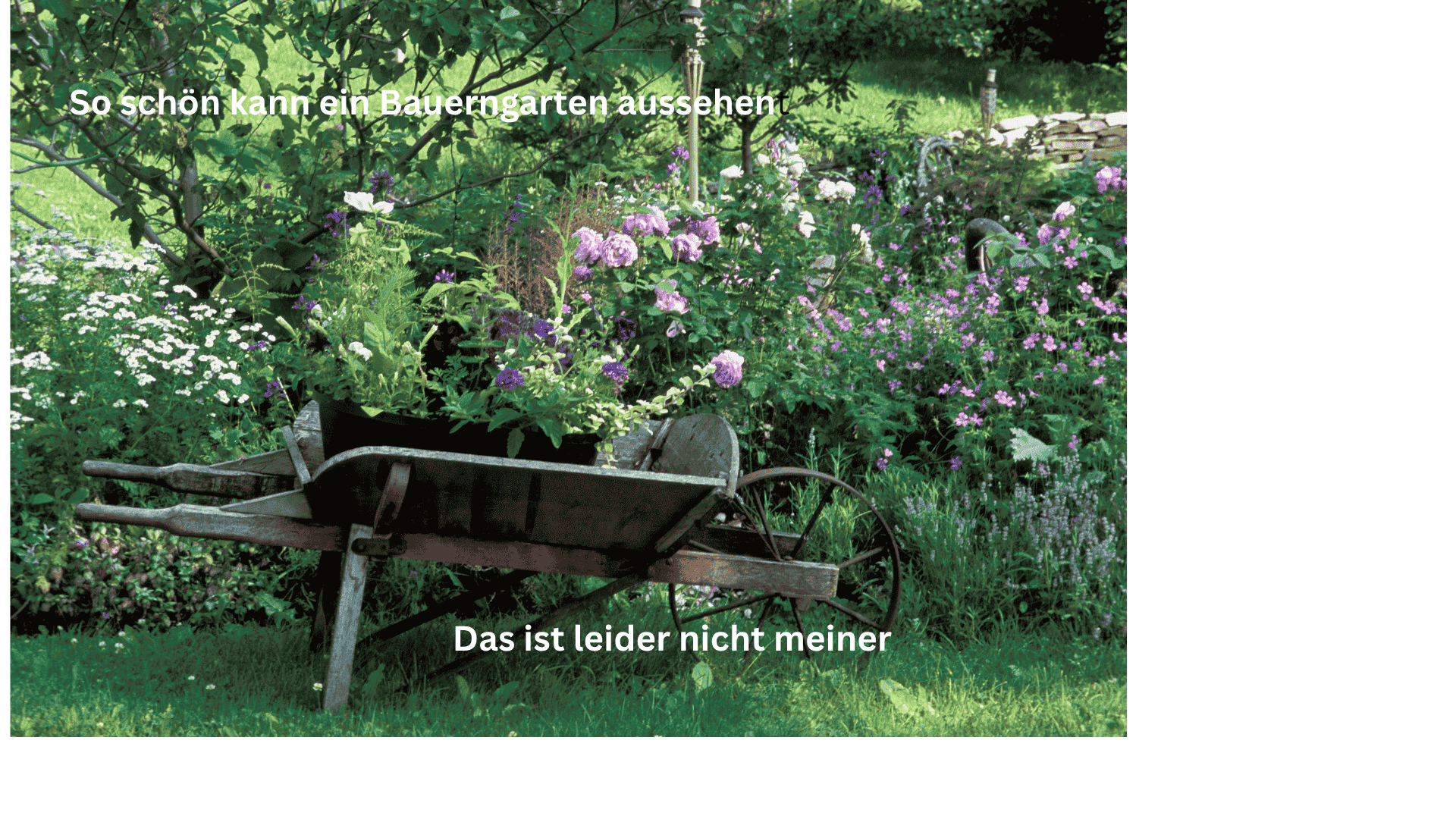 Wenn du den Garten ignorierst – ein ehrlicher Rückblick