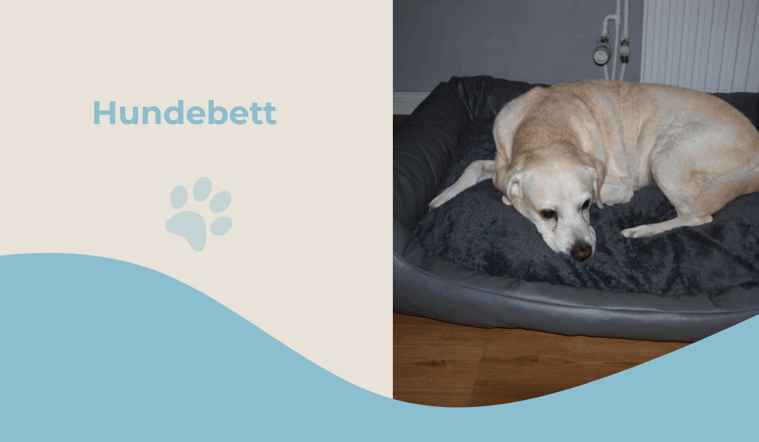 XL Hundebett selber nähen