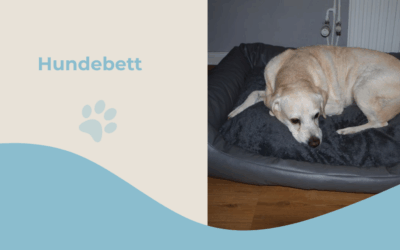XL Hundebett selber nähen