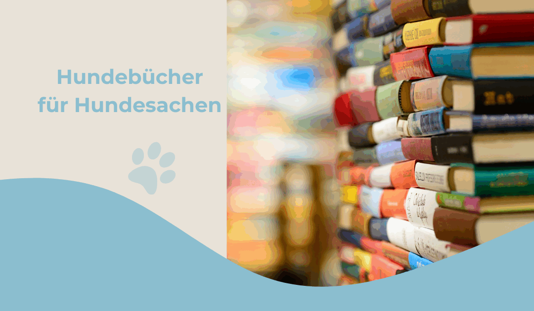 DIY-Bücher für Hundezubehör