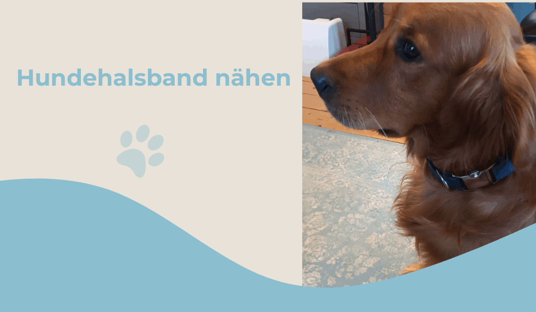 Hundehalsband einfach nähen