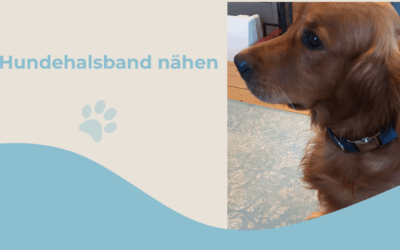 Hundehalsband einfach nähen