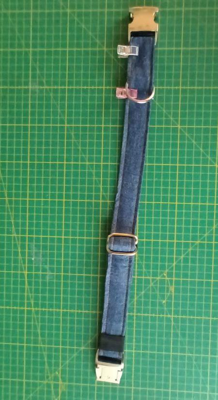 D-Ring und 2. Klemmschliesse für das Halsband sind in Position geklammert