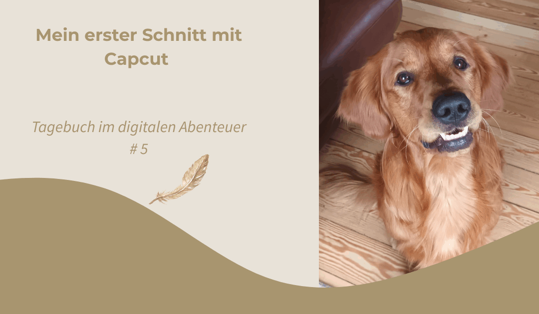 Tagebuch: Mein erster Schnitt mit Capcut