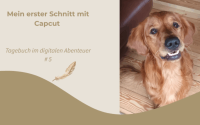 Tagebuch: Mein erster Schnitt mit Capcut