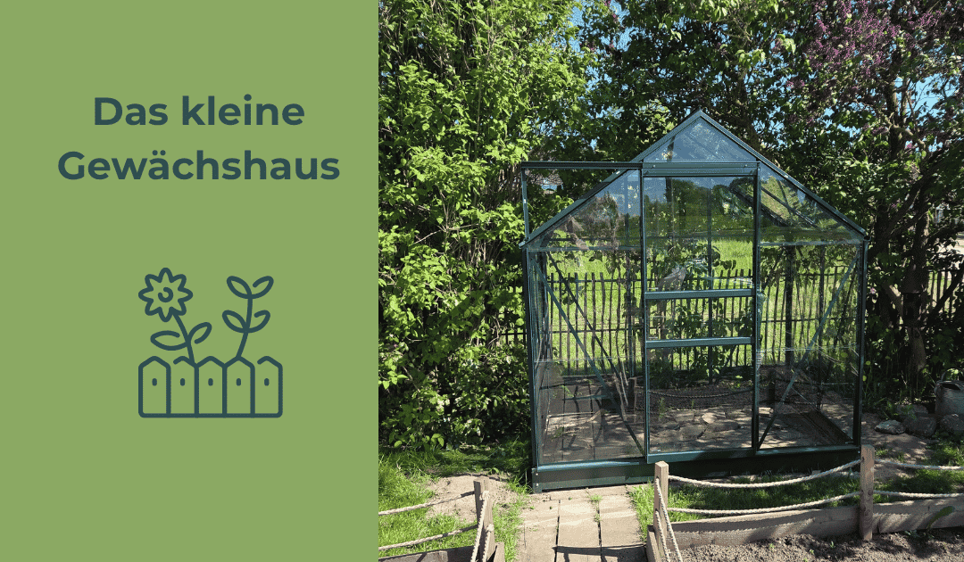 Das kleine Gewächshaus