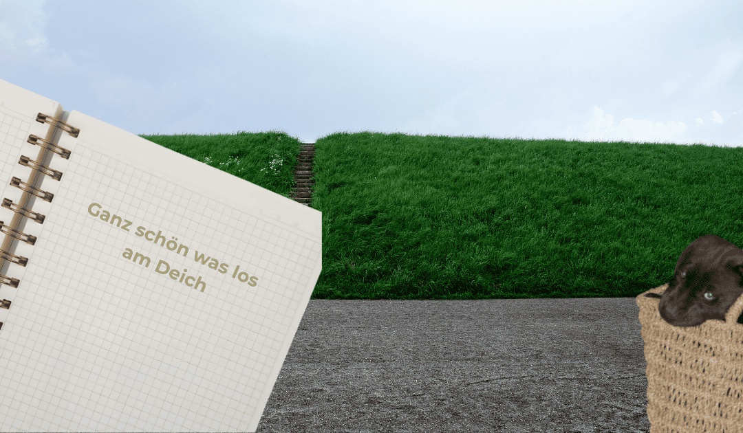 Bisschen was losgewesen am Deich…